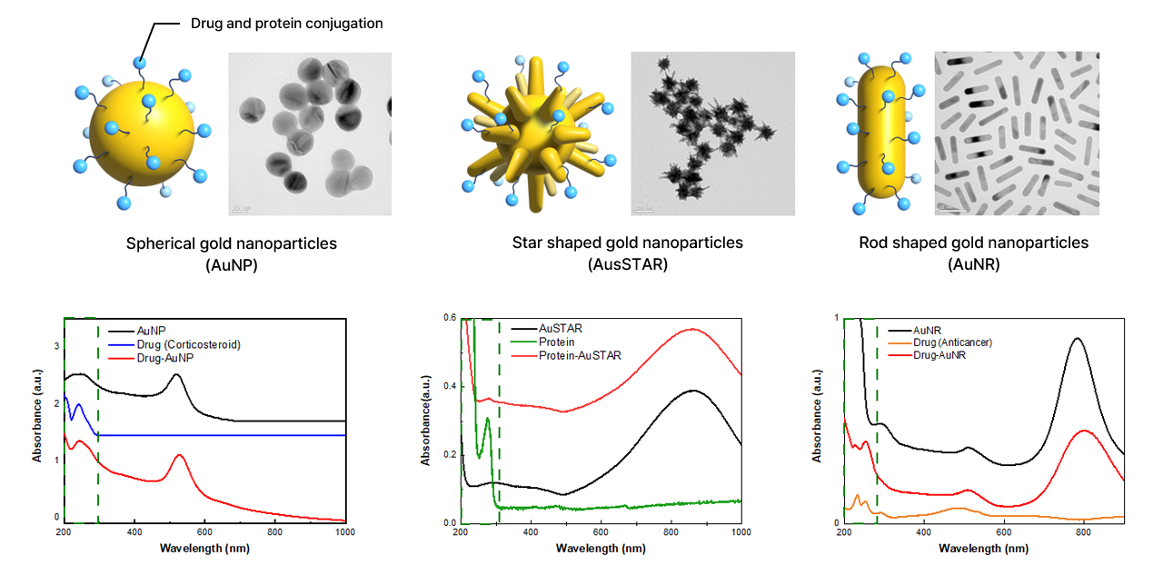 Gold nanoparticle