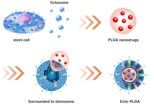 Ecto-PLGA®